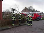 Prio 2 Stormschade Hanegraafweg Noardburgum